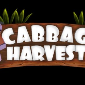 Cabbage Harvest