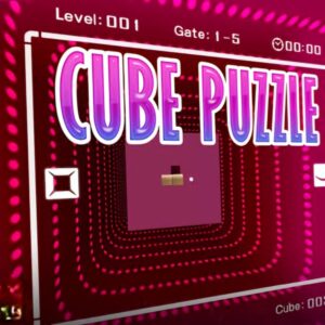 Cube Puzzle