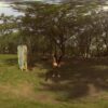 Centrade: Showing Local Love - Image 6