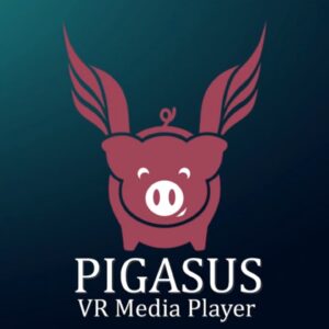 Pigasus VR Media Player