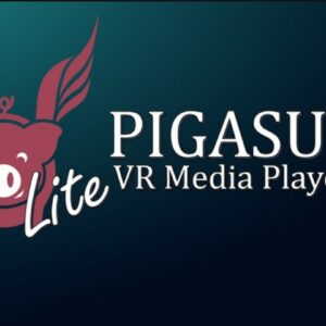 Pigasus VR Media Player (Lite)