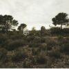 Desolatium (Chapter 1: Sanatorium) - Image 4