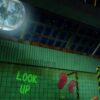 Sneaky Bears VR - Image 3
