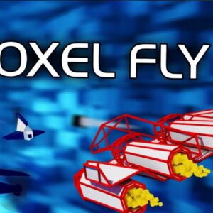 Voxel Fly