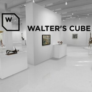 Walter's Cube VR