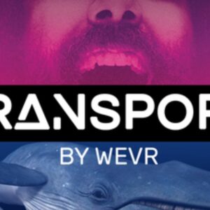 Wevr Transport