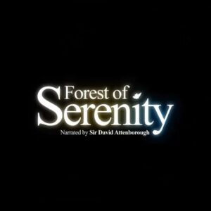 Forest of Serenity