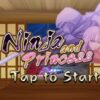 Ninja and Princess - Image 2